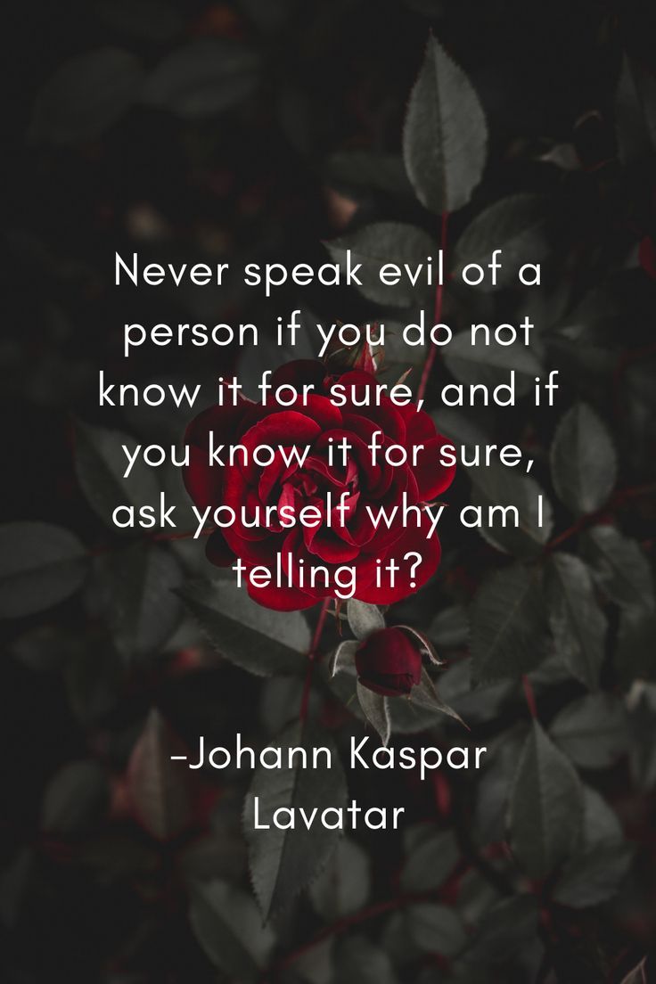 Johann Kaspar Lavater, Zitat, Rose, Dunkel, Weiße Schrift, HD, Handy-Hintergrundbild