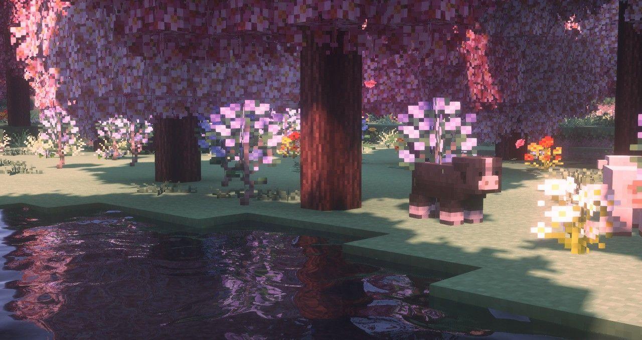 Minecraft, Kirschblütenwald, Teich, Rosa, Shader, HD, Hintergrund für den Desktop