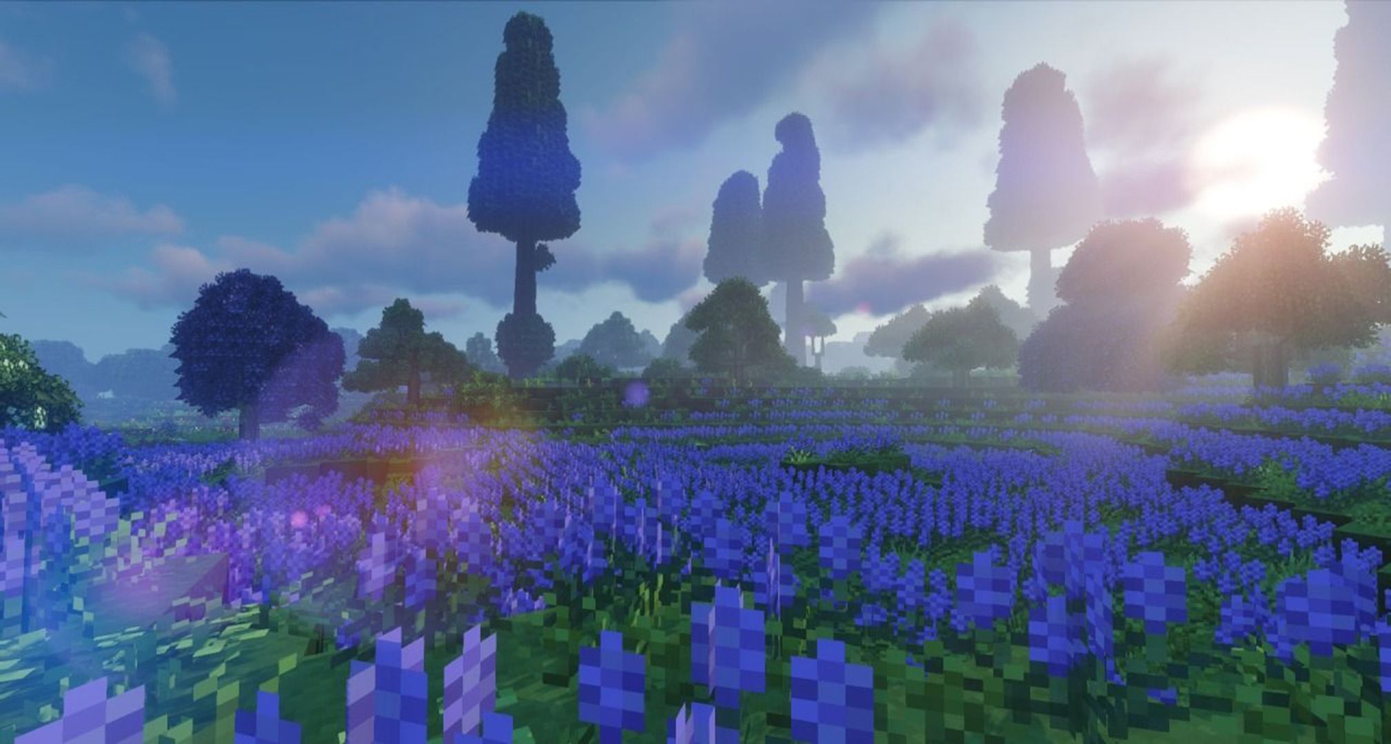 Minecraft, Blumenwiese, Lila Blumen, Bäume, Sonnenlicht, Full HD, Windows-Hintergrundbild