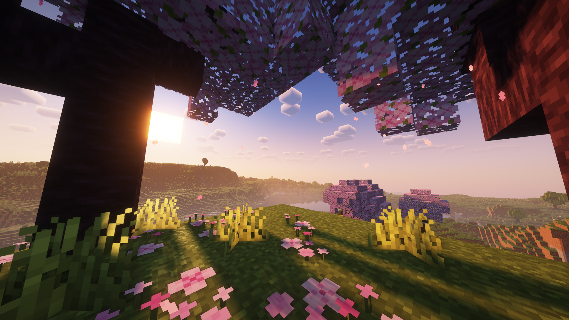 Minecraft, Wald, Sonnenuntergang, Blumen, Shader, 1920x1080, Full-HD-Hintergrundbild für PC