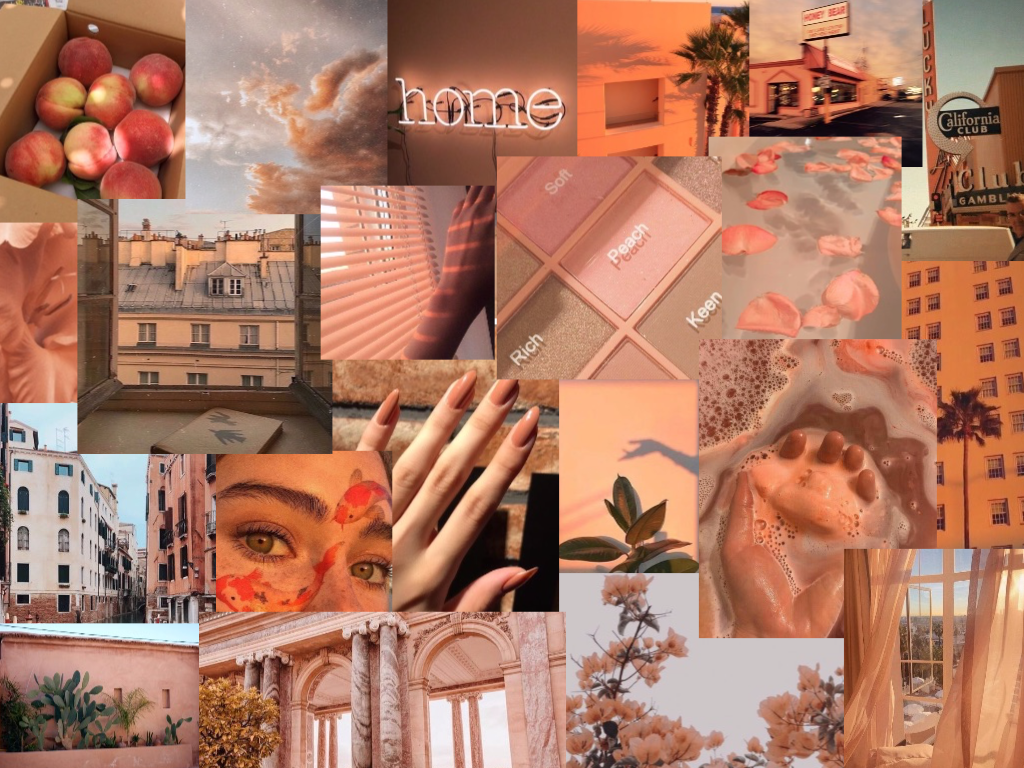 Collage, Pfirsich-Ästhetik, Fotos, Blumen, Architektur, Hintergrundbild für iPad und Tablet