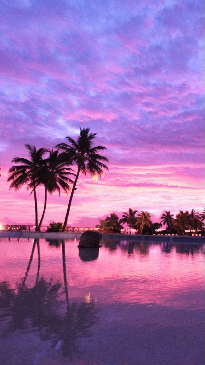 Palmen, Sonnenuntergang, Lila Himmel, Spiegelung, Tropen, HD, Handy-Hintergrundbild