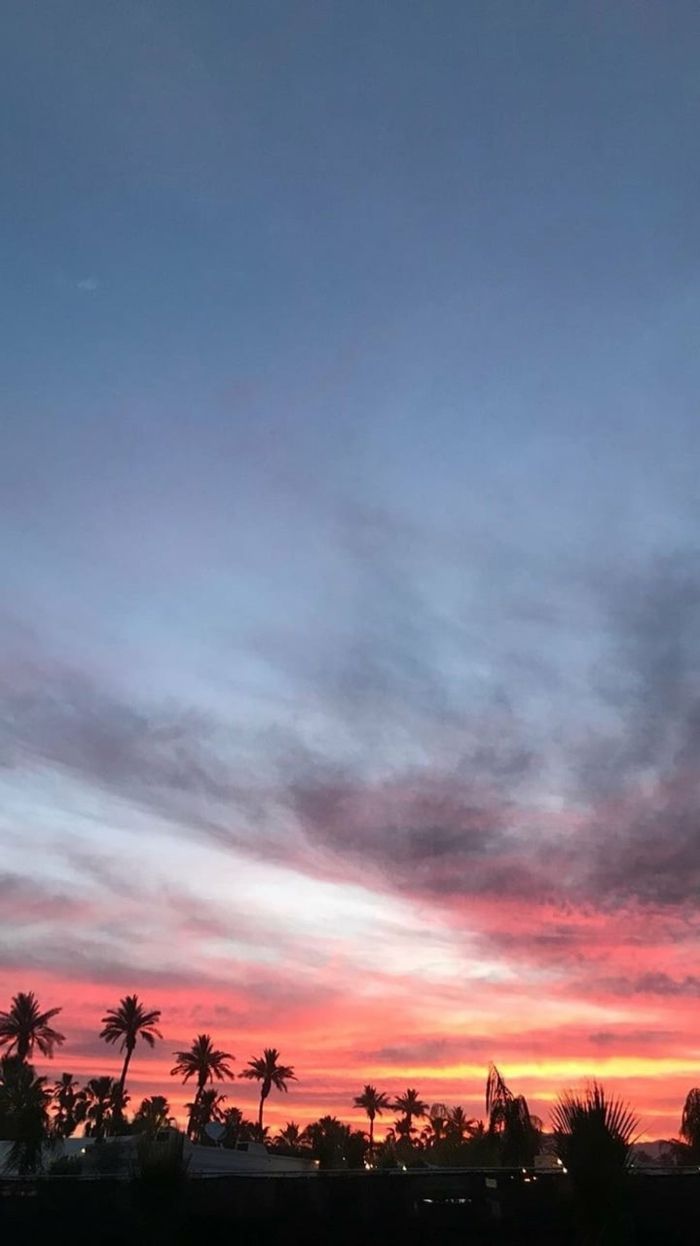 Abendrot, Palmen, Silhouette, Dämmerung, Hintergrundbild für iPhone und Android