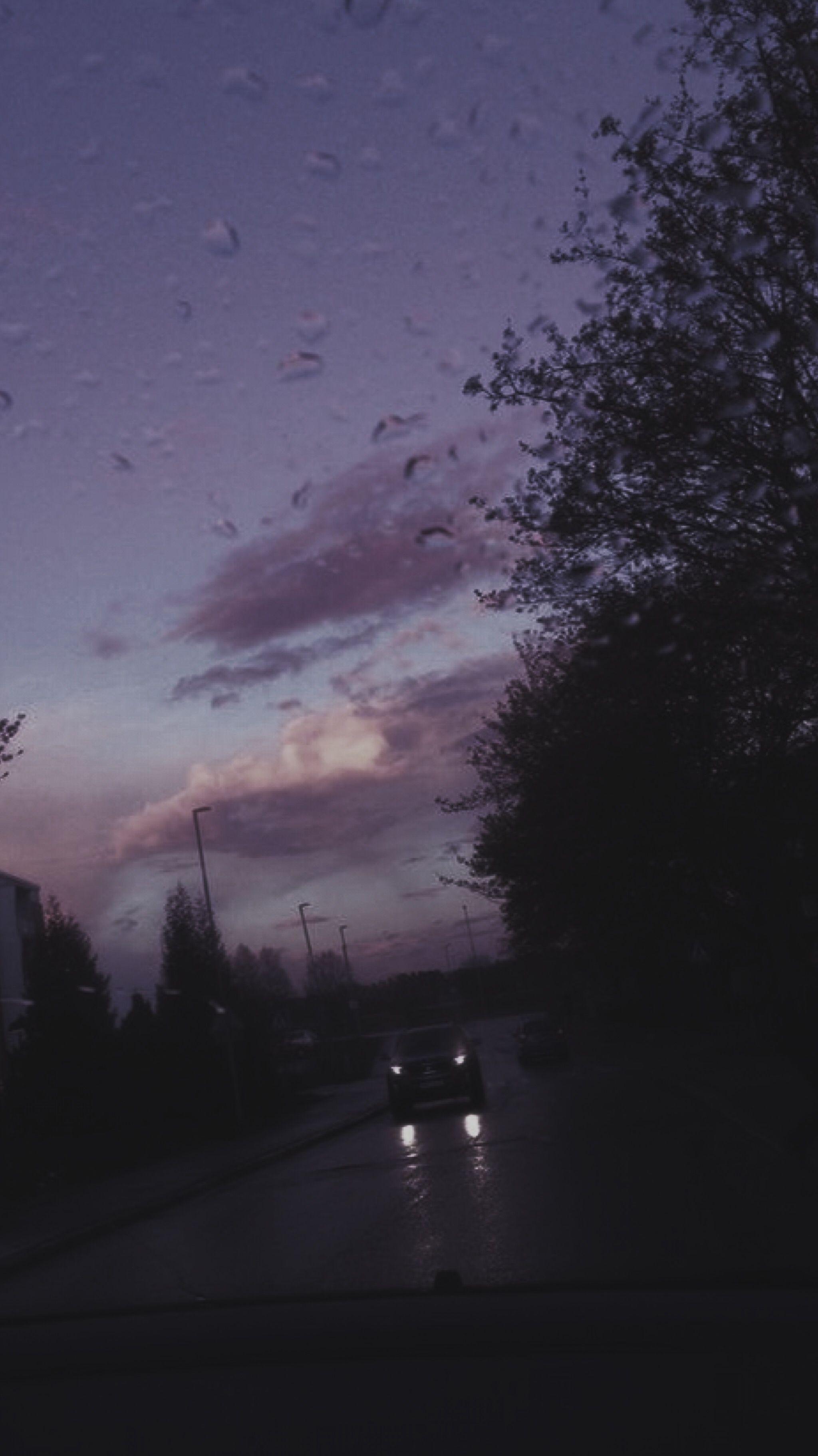 Straße, Bäume, Dämmerung, Lila, Silhouette, QHD+, Handy-Hintergrund im Hochformat