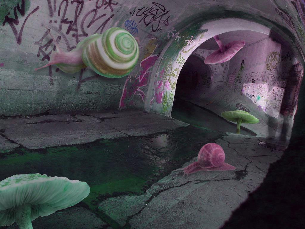 Schnecke, Pilze, Tunnel, Graffiti, Surreal, Hintergrundbild für iPad und Tablet