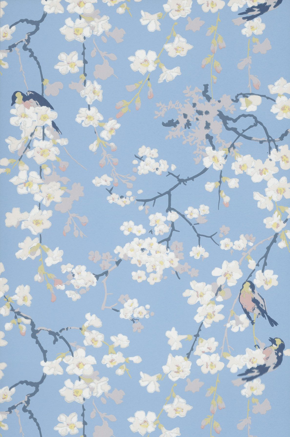 Kirschblüten, Vögel, Zweige, Hellblau, Chinoiserie, Full HD, Handy-Hintergrund im Hochformat
