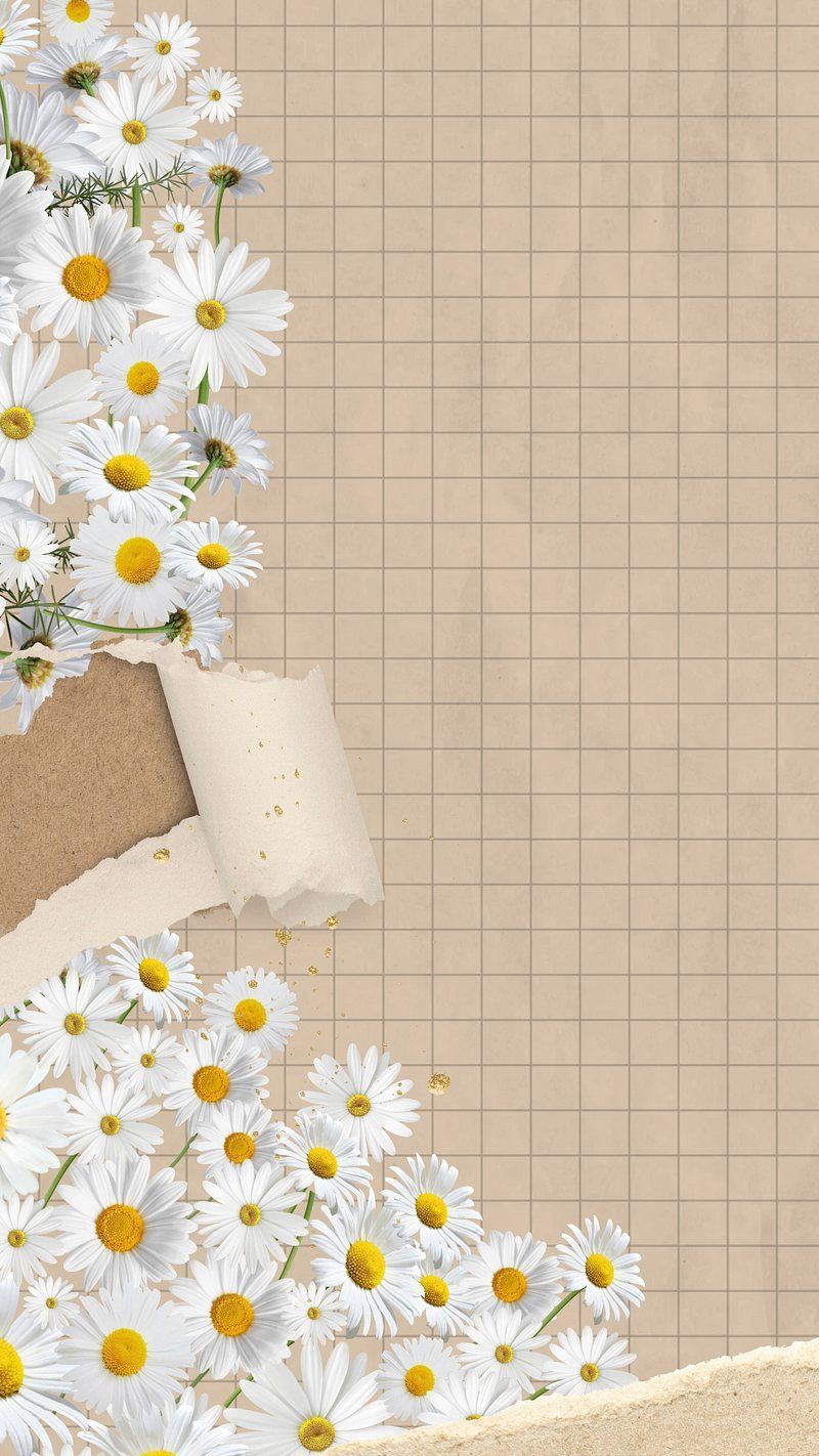 Gänseblümchen, Karopapier, Collage, Beige, Ästhetik, HD, Handy-Hintergrund im Hochformat
