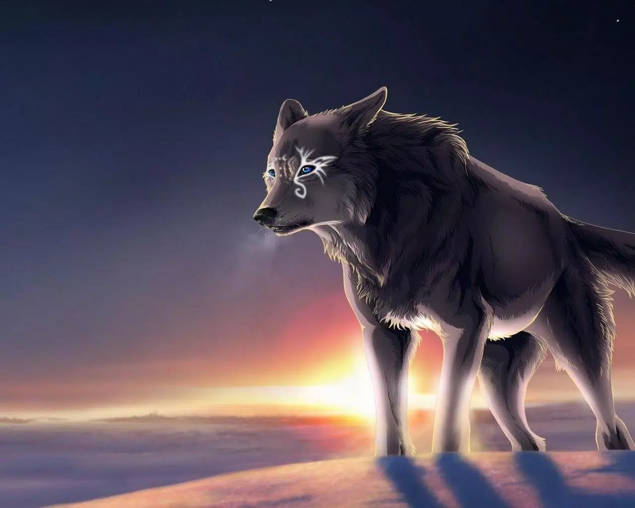Wolf, Schnee, Sonnenuntergang, Digitale Kunst, Winter, HD, Desktop-Hintergrund für Windows