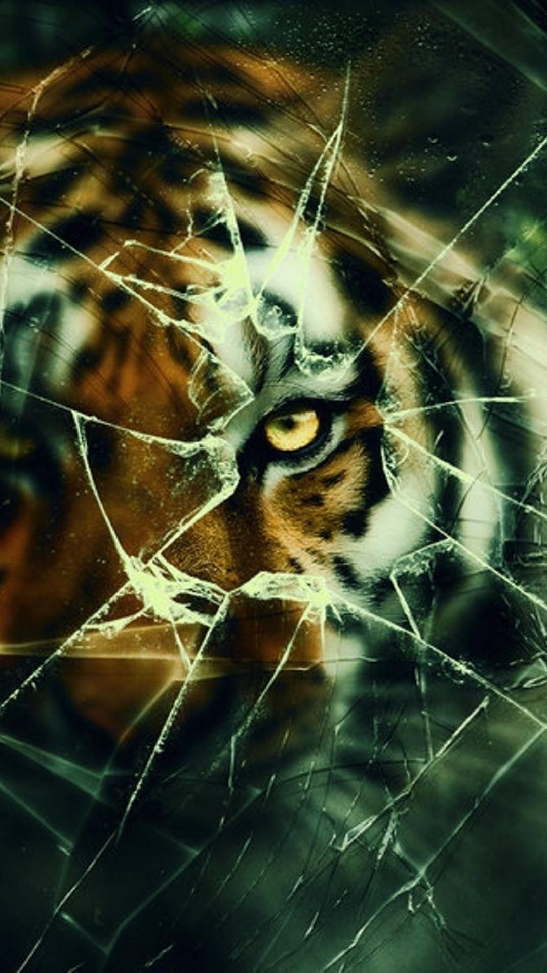 Tiger, Gesprungenes Glas, Grün, Digitale Kunst, Nahaufnahme, Full HD, iPhone-Hintergrundbild