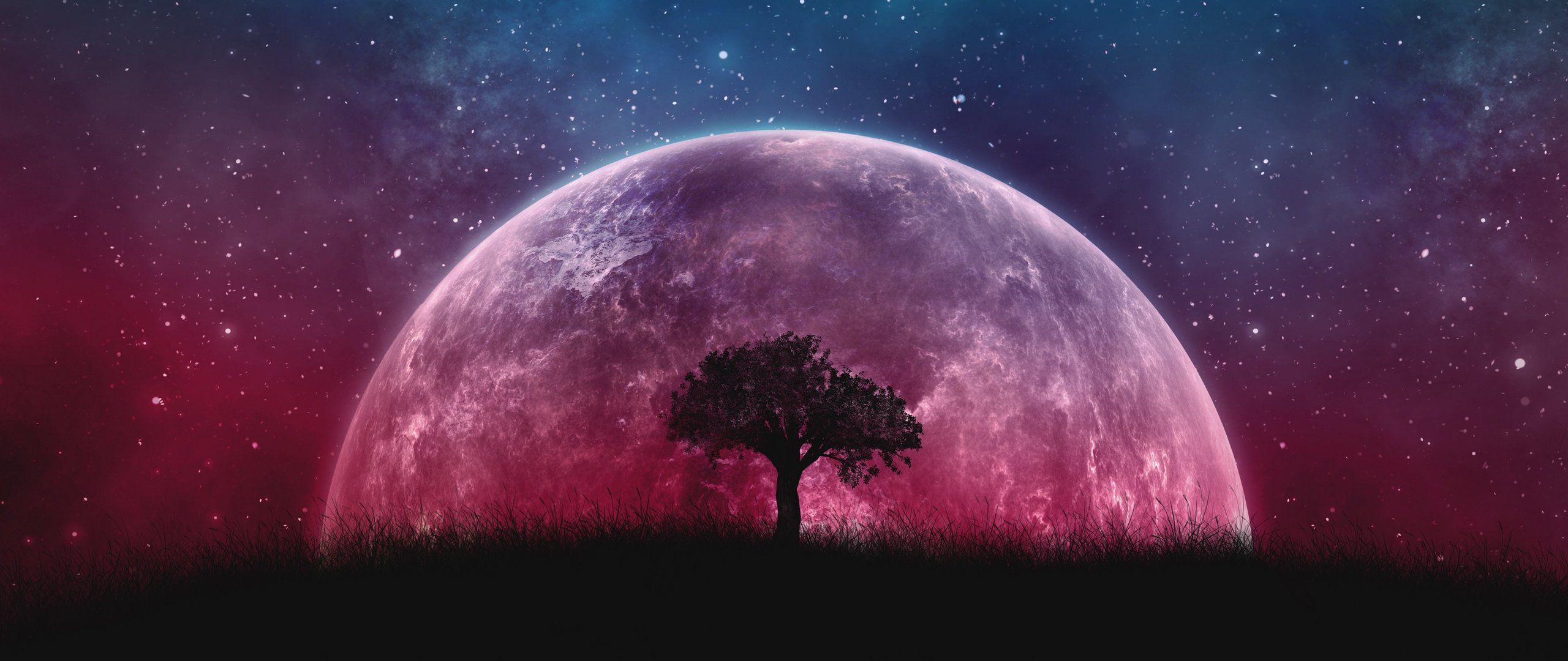 Planet, Baum, Silhouette, Sternenhimmel, Rosa, 2K, Hintergrund für den Desktop