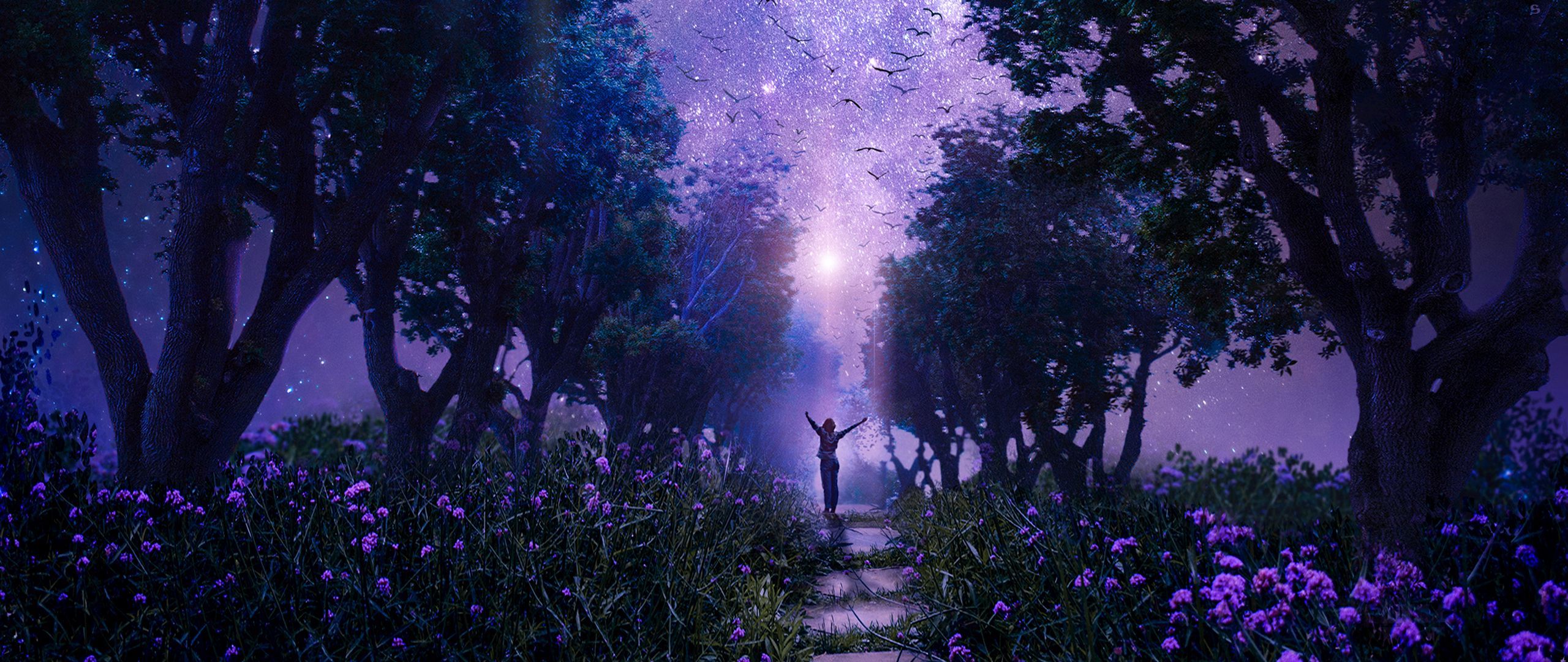 Wald, Weg, Blumen, Lila Licht, Person, Fantasy, 21:9, 2K-Hintergrundbild für den Desktop