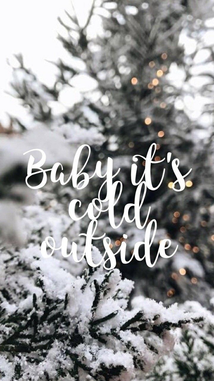 Baby It's Cold Outside, Schriftzug, Verschneiter Tannenbaum, Lichterkette, HD, iPhone-Hintergrundbild