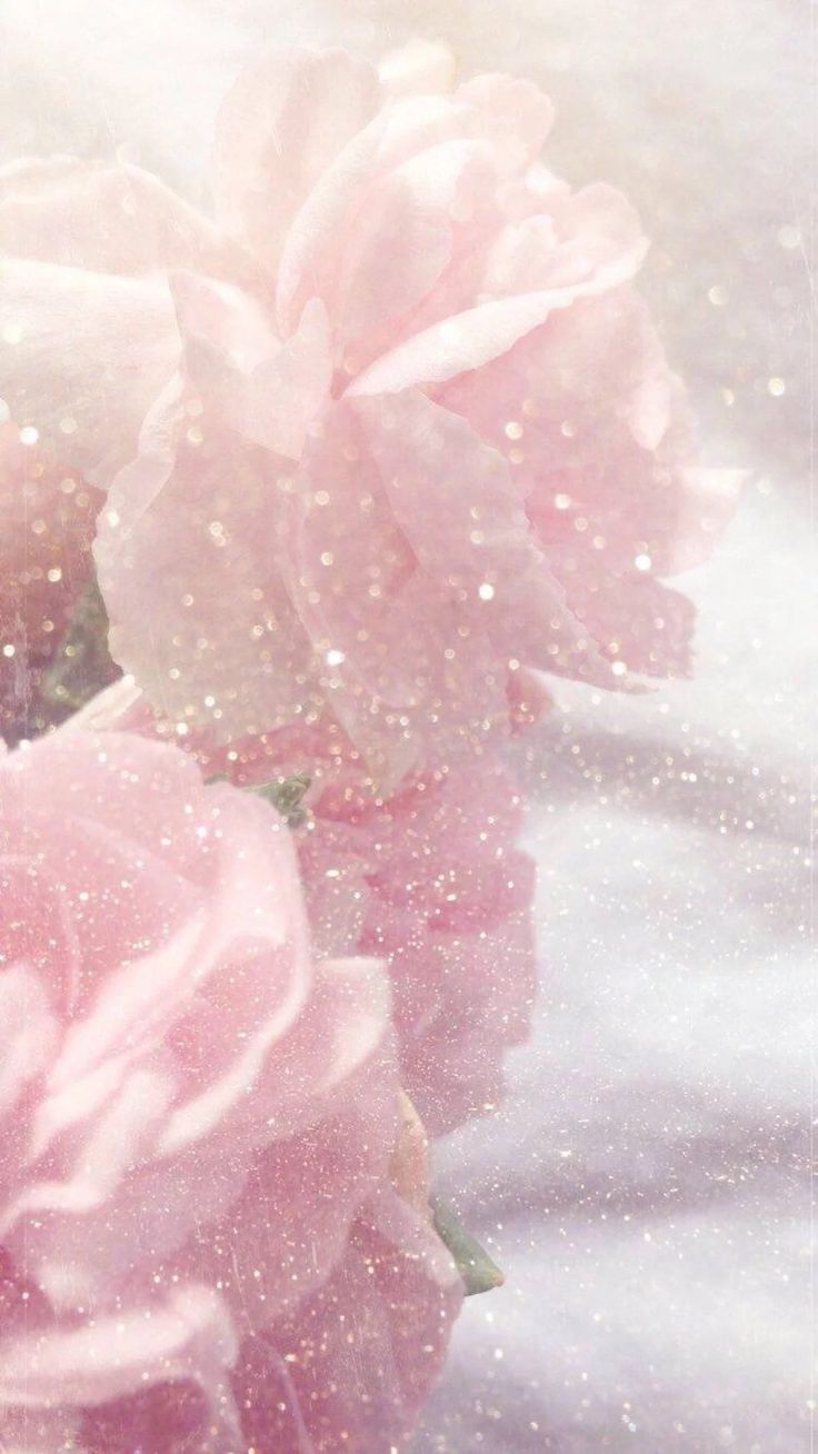 Rosa Rosen, Glitzer, Pastell, Weiches Licht, Romantisch, Hintergrundbild fürs Handy