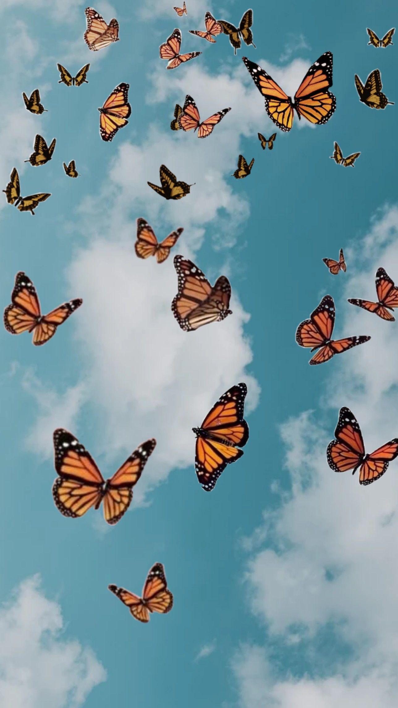 Monarchfalter, Türkiser Himmel, Wolken, Schwarm, Ästhetik, Full HD, Handy-Hintergrund