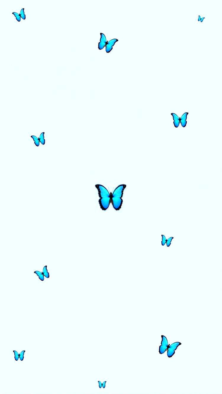 Blaue Schmetterlinge, Weißer Hintergrund, Minimalismus, Hellblau, Klein, Sperrbildschirm fürs iPhone