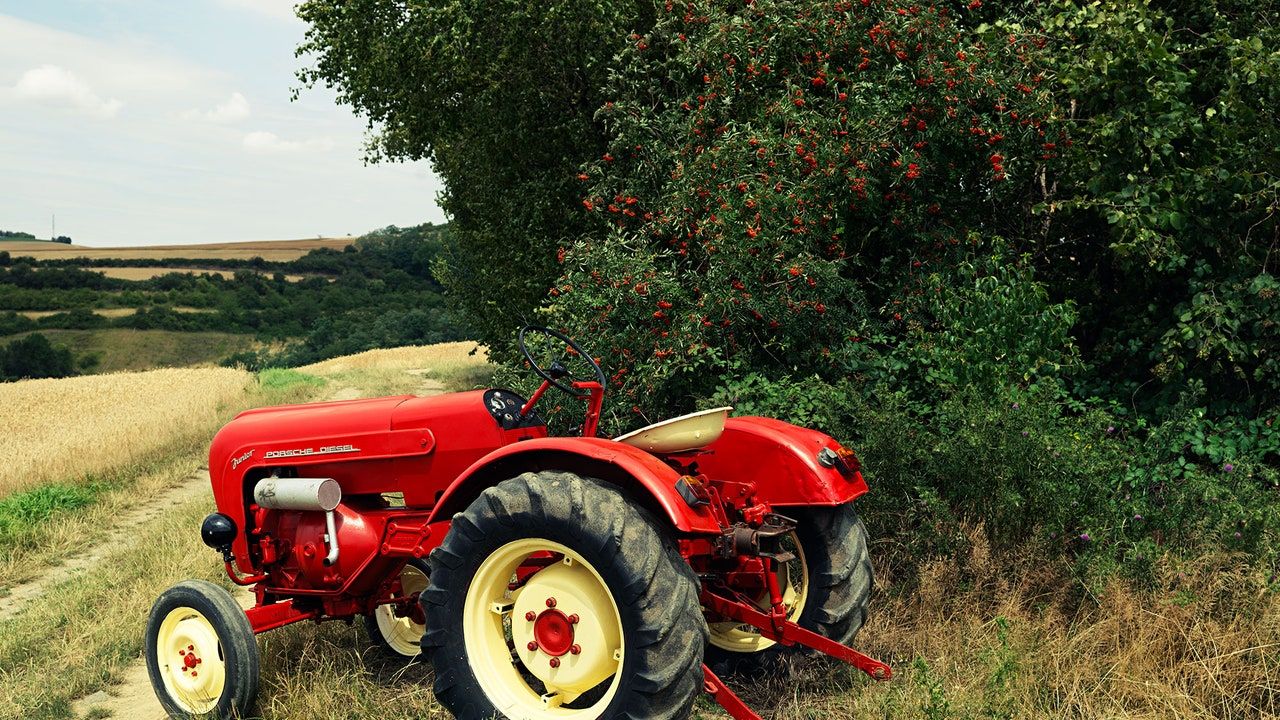 Oldtimer-Traktor, Roter Traktor, Feldweg, Hecke, Sommer, HD, Laptop-Hintergrundbild