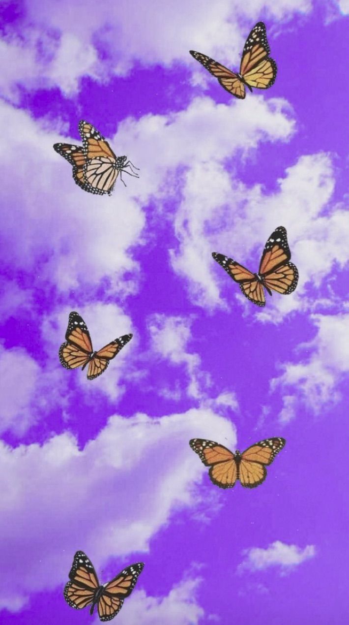 Monarchfalter, Lila Himmel, Wolken, Ästhetik, Hintergrundbild für iPhone und Android