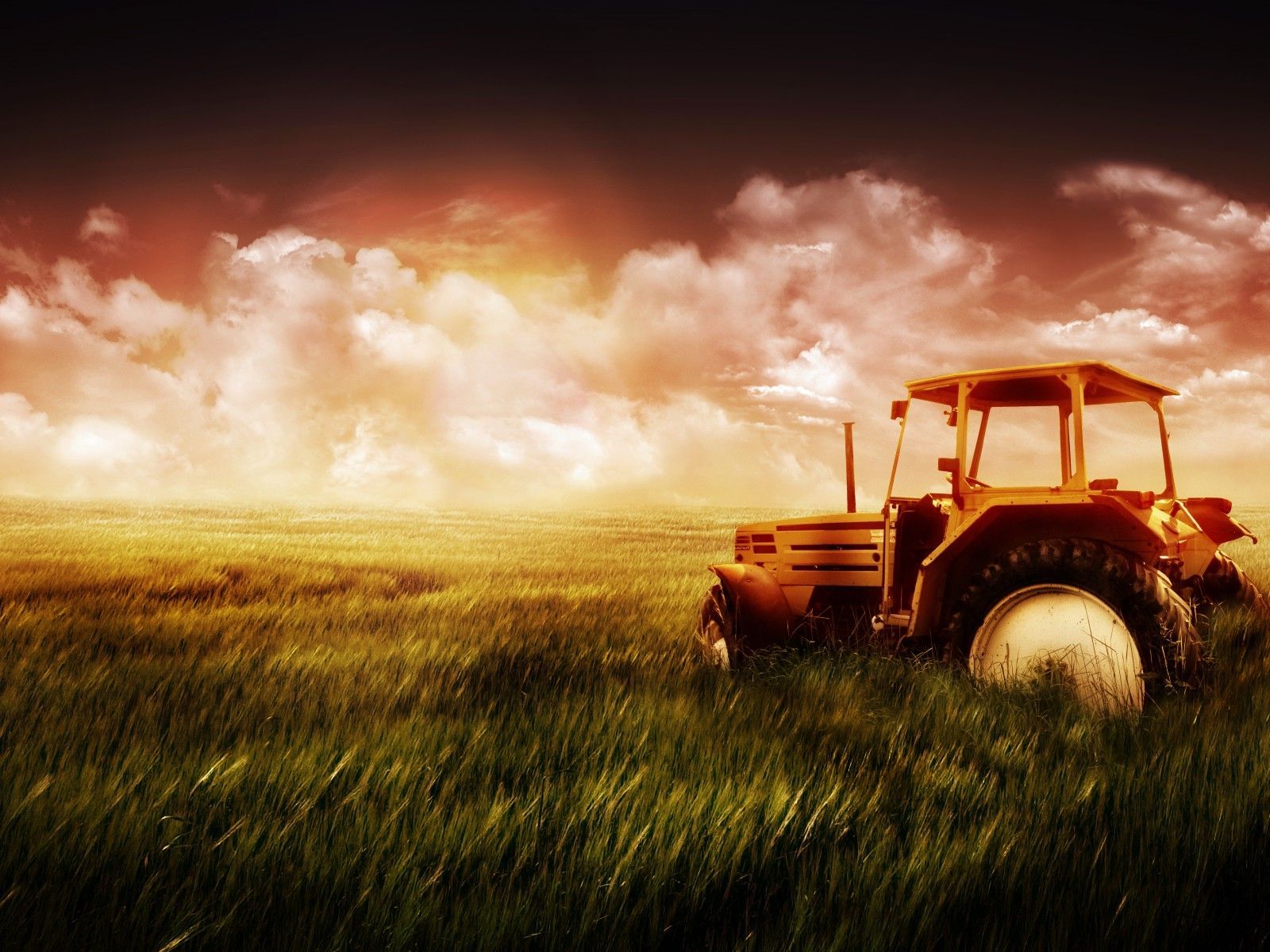Oldtimer-Traktor, Sonnenuntergang, Feld, Feuerroter Himmel, Gegenlicht, HD, Tablet-Hintergrund