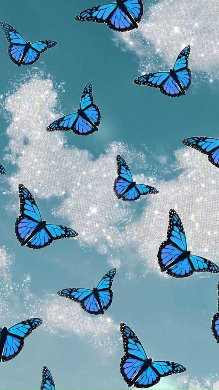 Blaue Schmetterlinge, Wolken, Türkiser Himmel, Ästhetik, Schwarm, HD, Handy-Hintergrundbild