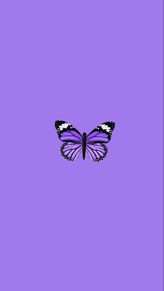 Schmetterling, Lila Hintergrund, Minimalismus, Violett, Einzelner Falter, Sperrbildschirm fürs iPhone