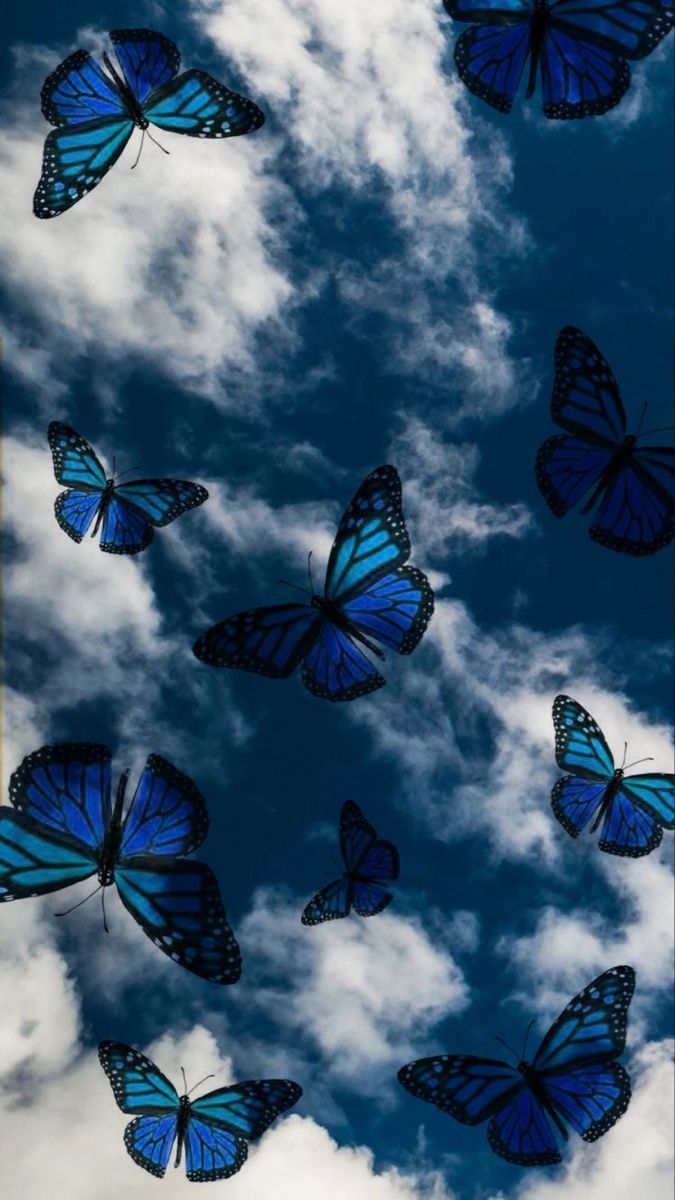 Blaue Schmetterlinge, Wolken, Dunkelblauer Himmel, Schwarm, Ästhetik, Android-Hintergrundbild