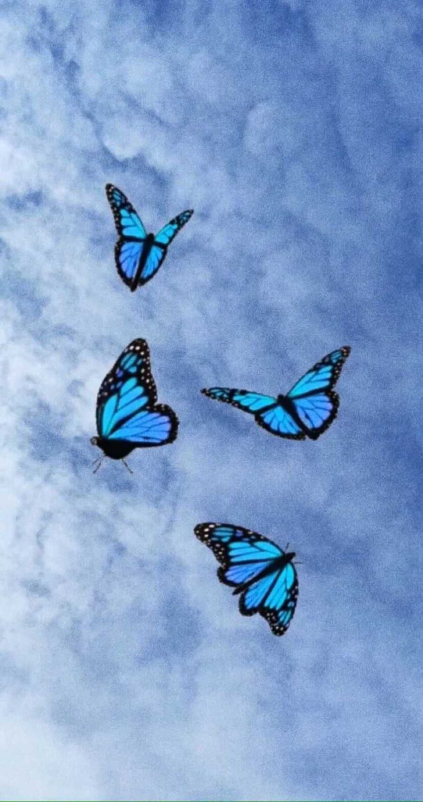 Blaue Schmetterlinge, Wolken, Blauer Himmel, Ästhetik, Neon, HD, iPhone-Hintergrundbild
