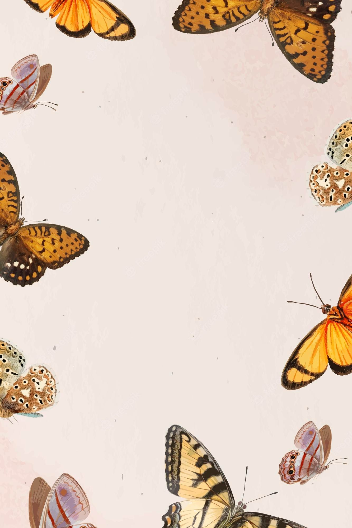 Schmetterlinge, Monarchfalter, Rahmen, Beige, Vintage, Full HD, Hintergrundbild fürs Handy