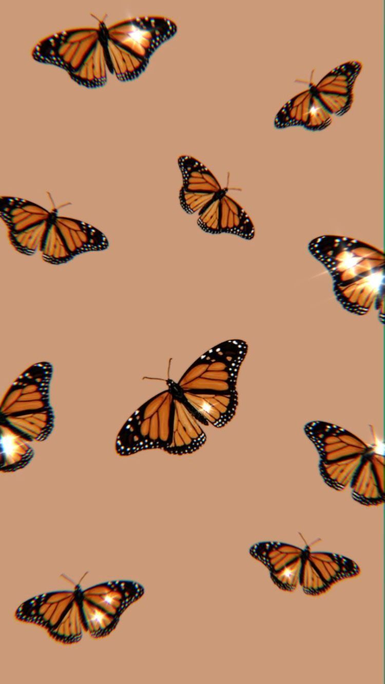 Monarchfalter, Muster, Terrakotta, HD, Handy-Hintergrund im Hochformat
