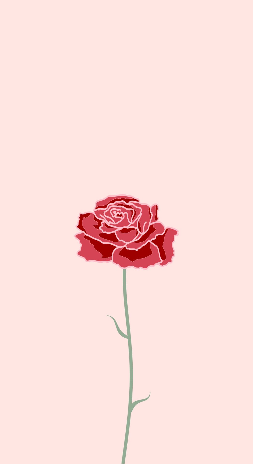 Rote Rose, Rosa Hintergrund, Minimalistisch, HD, Sperrbildschirm fürs iPhone