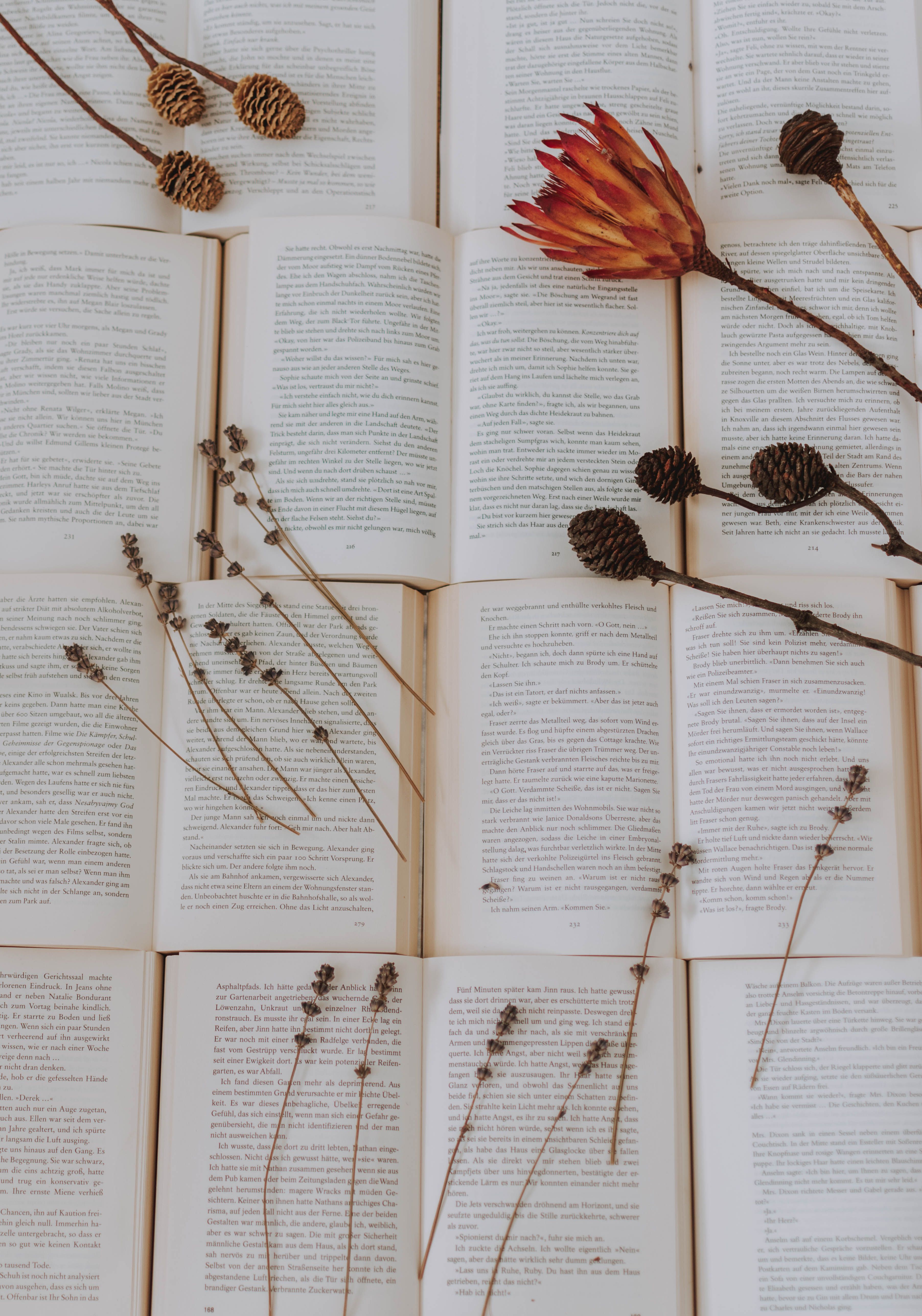 Getrocknete Blumen, Offenes Buch, Buchseiten, Flatlay, Vintage, QHD+, iPad-Hintergrundbild