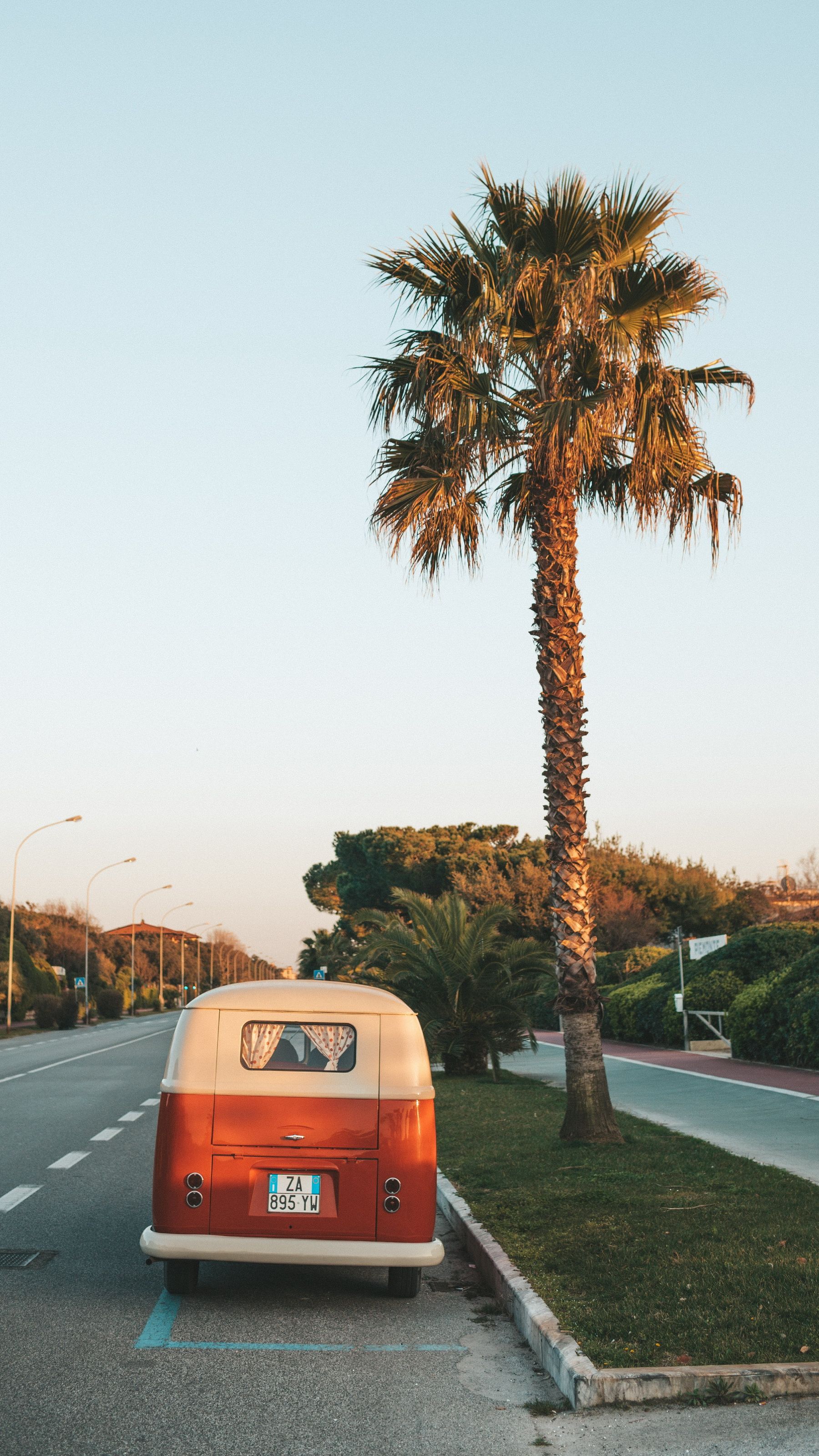 VW Bulli, Palme, Straße, Retro, Roadtrip, QHD+, Hintergrundbild fürs Handy