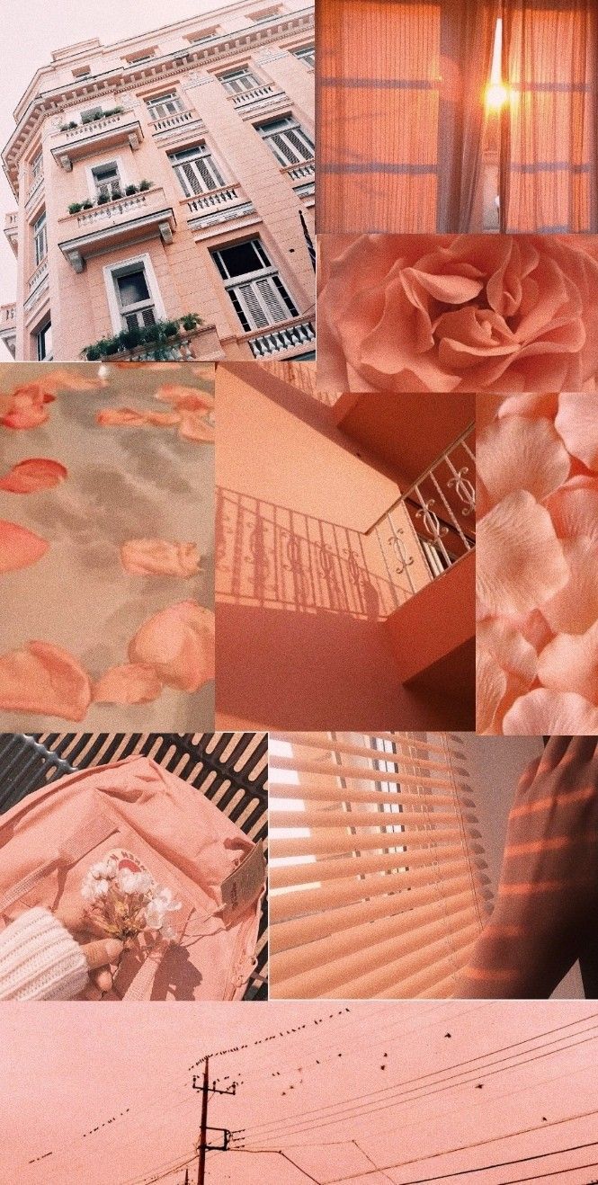 Collage, Ästhetik, Pfirsich, Architektur, Pastell, Hintergrundbild für iPhone und Android