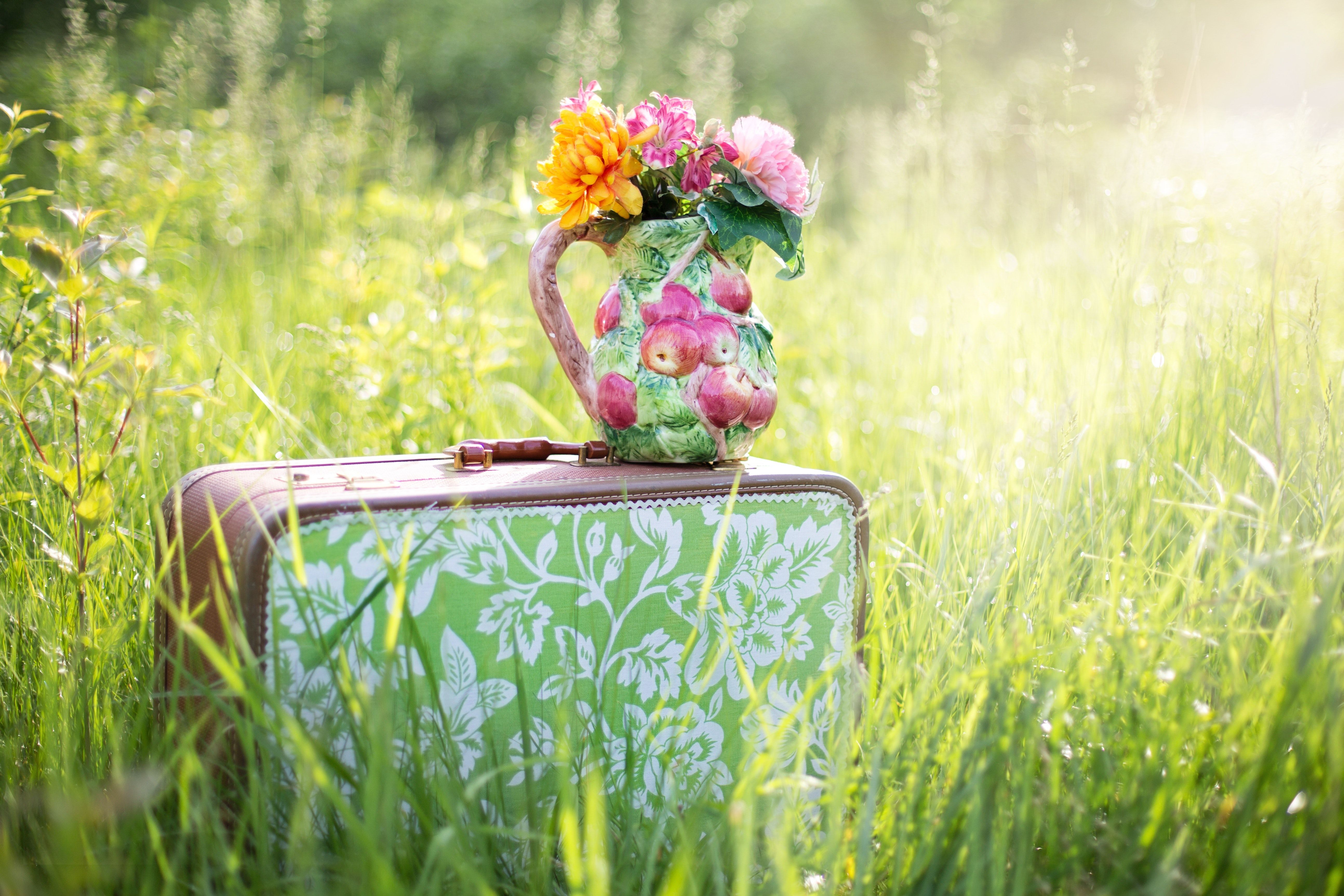 Blumenkoffer, Blumenvase, Wiese, Gras, Sommer, Grün, 5K, Hintergrund für den Desktop