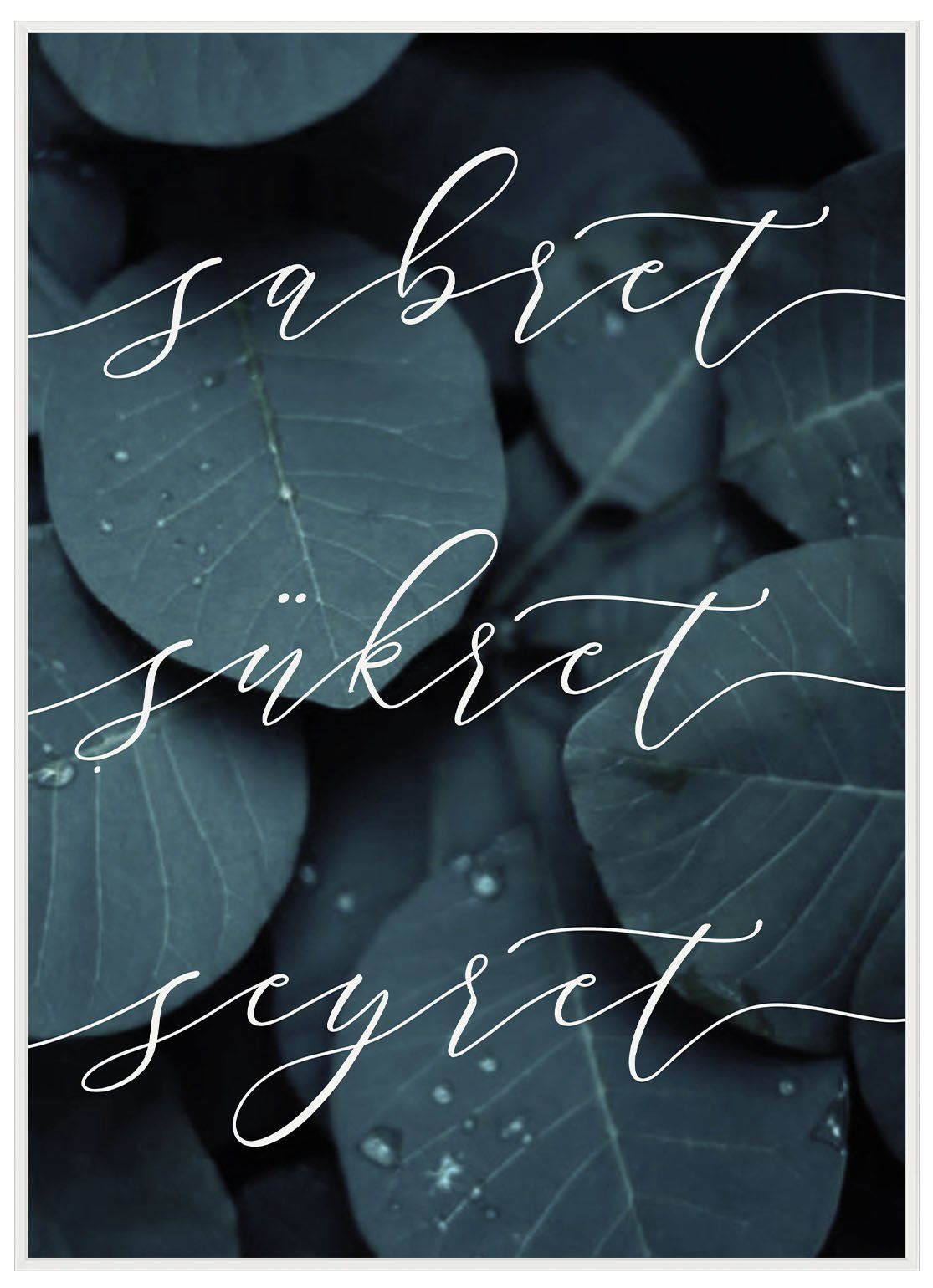 Kalligrafie, Sabret Şükret Seyret, Blätter, Dunkelgrün, Schriftzug, Hintergrundbild fürs iPad