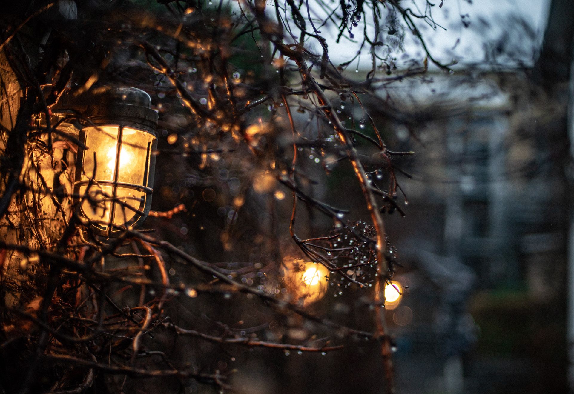 Laterne, Abendlicht, Zweige, Bokeh, Stimmungsvoll, Full HD, Desktop-Hintergrund für Windows