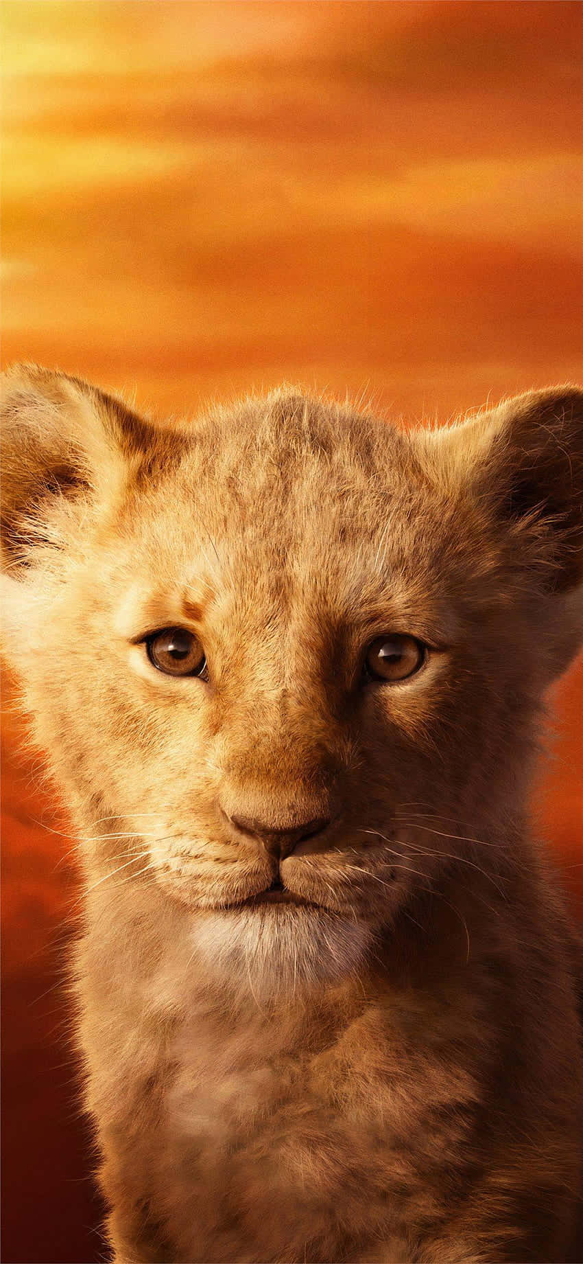 Löwenjunges, Simba, Der König der Löwen (2019), Orange, Porträt, Android-Hintergrundbild
