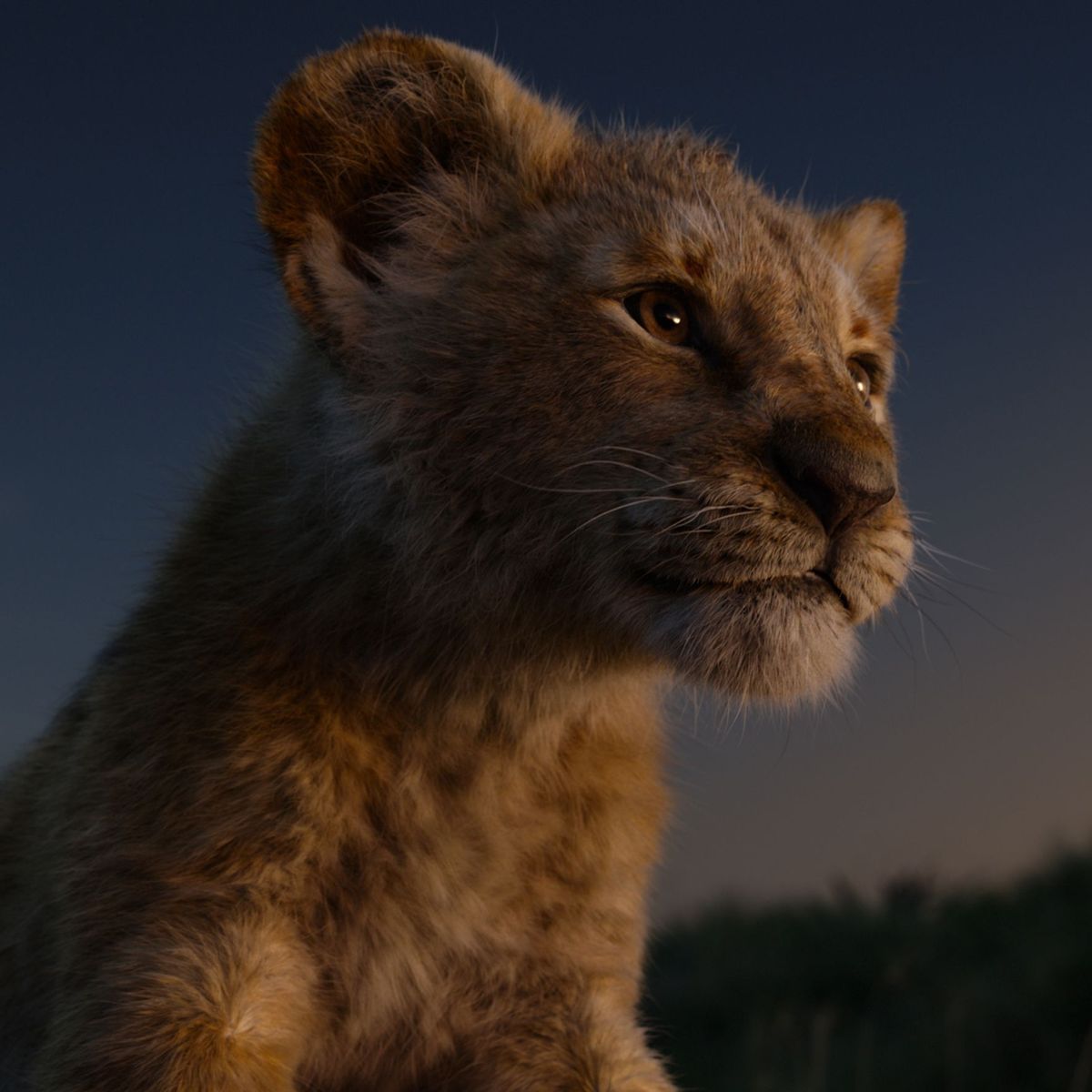 Simba, Der König der Löwen (2019), Löwenjunges, Abendhimmel, Profil, Hintergrundbild fürs Tablet