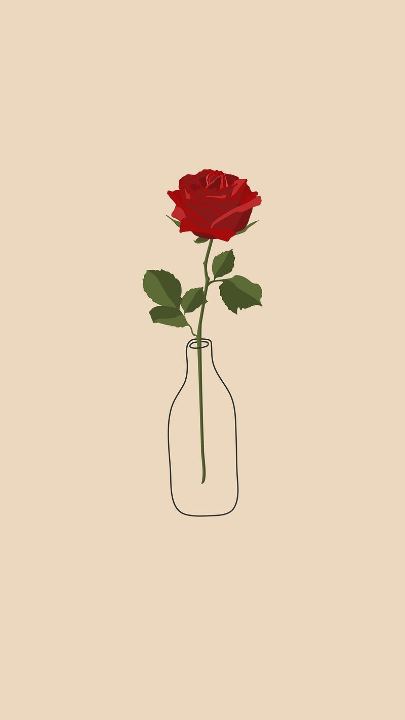 Rote Rose, Flasche, Strichzeichnung, Beige, Minimalismus, HD, Handy-Hintergrundbild