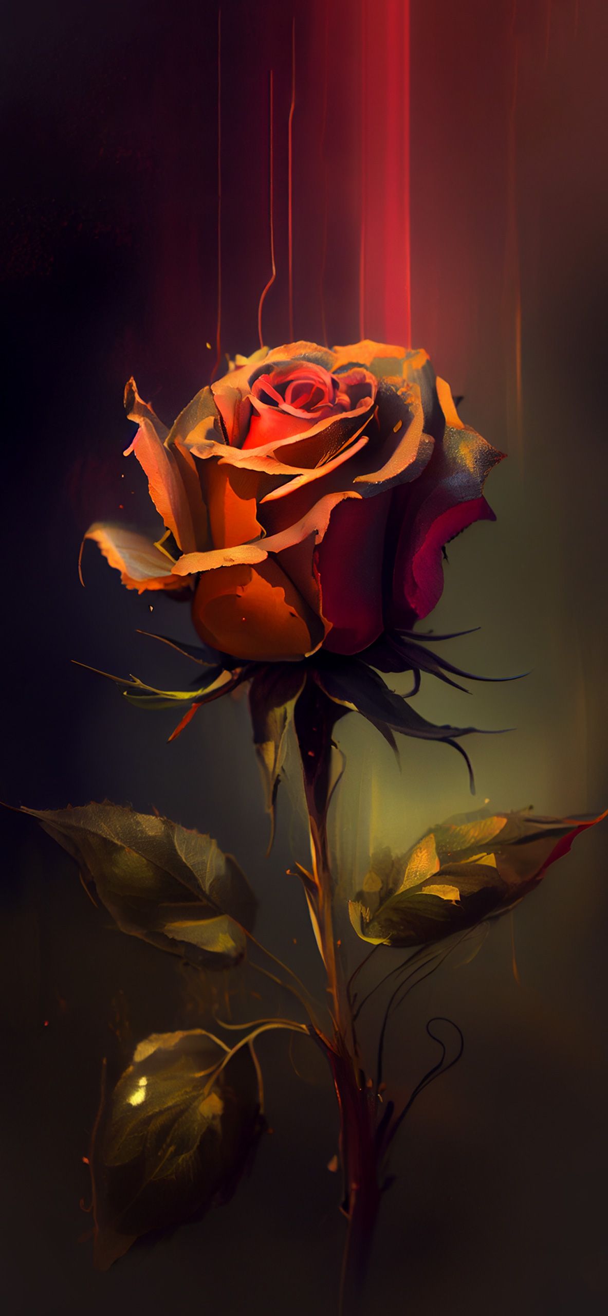 Orange Rose, Dunkler Hintergrund, Leuchtend, Digitalkunst, Sperrbildschirm fürs iPhone