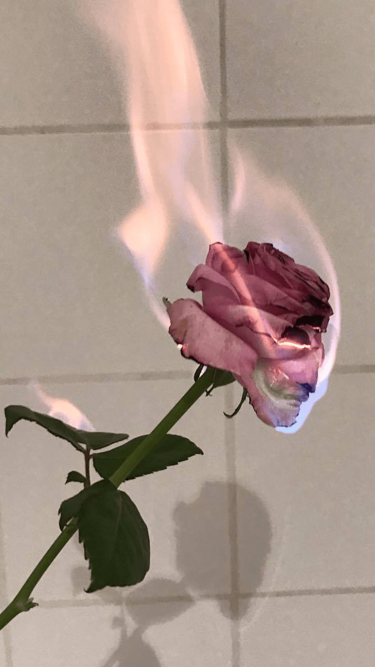 Brennende Rose, Flammen, Fliesen, Surreal, Full HD, Handy-Hintergrund im Hochformat
