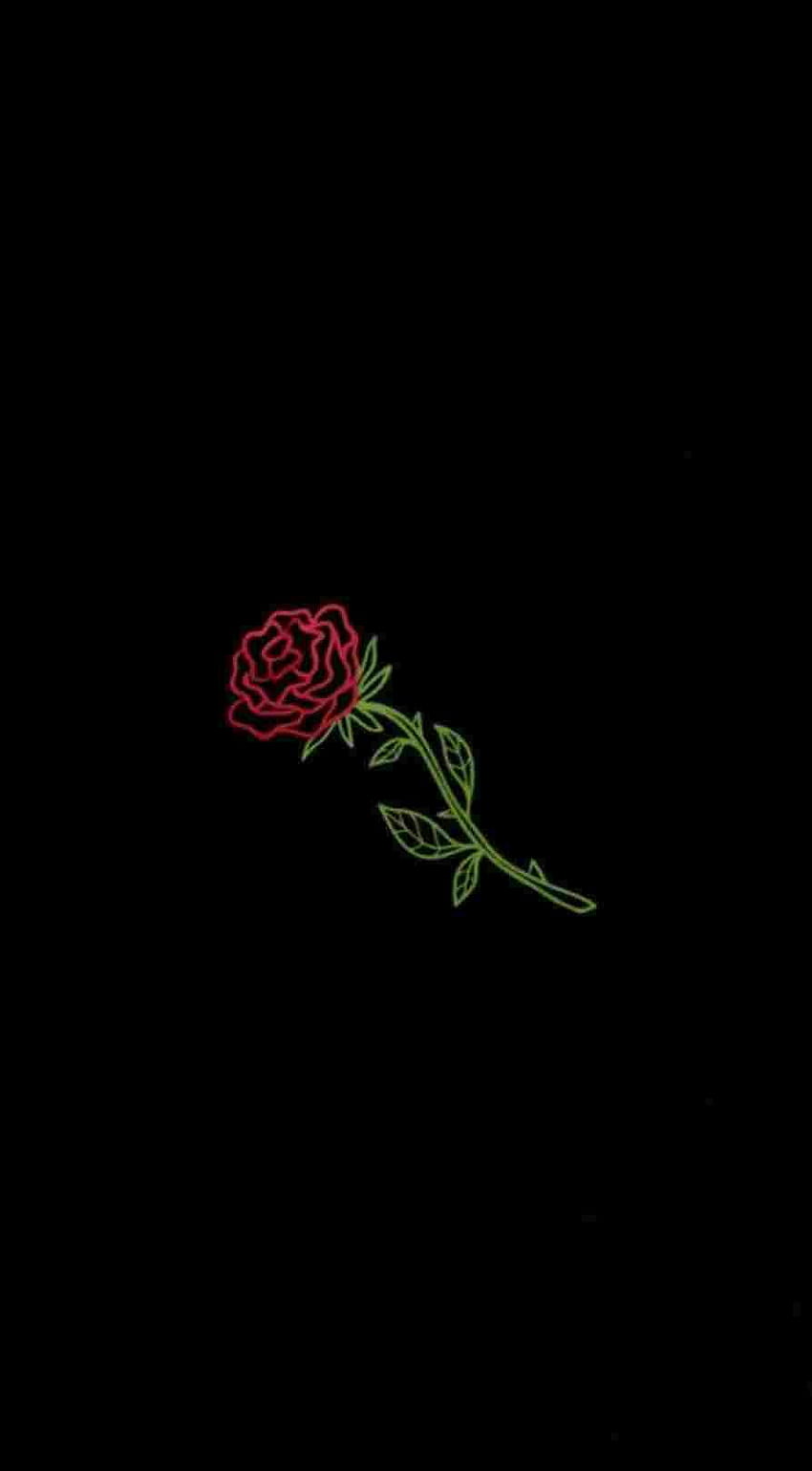 Rote Rose, Schwarzer Hintergrund, Minimalismus, HD, Sperrbildschirm fürs iPhone