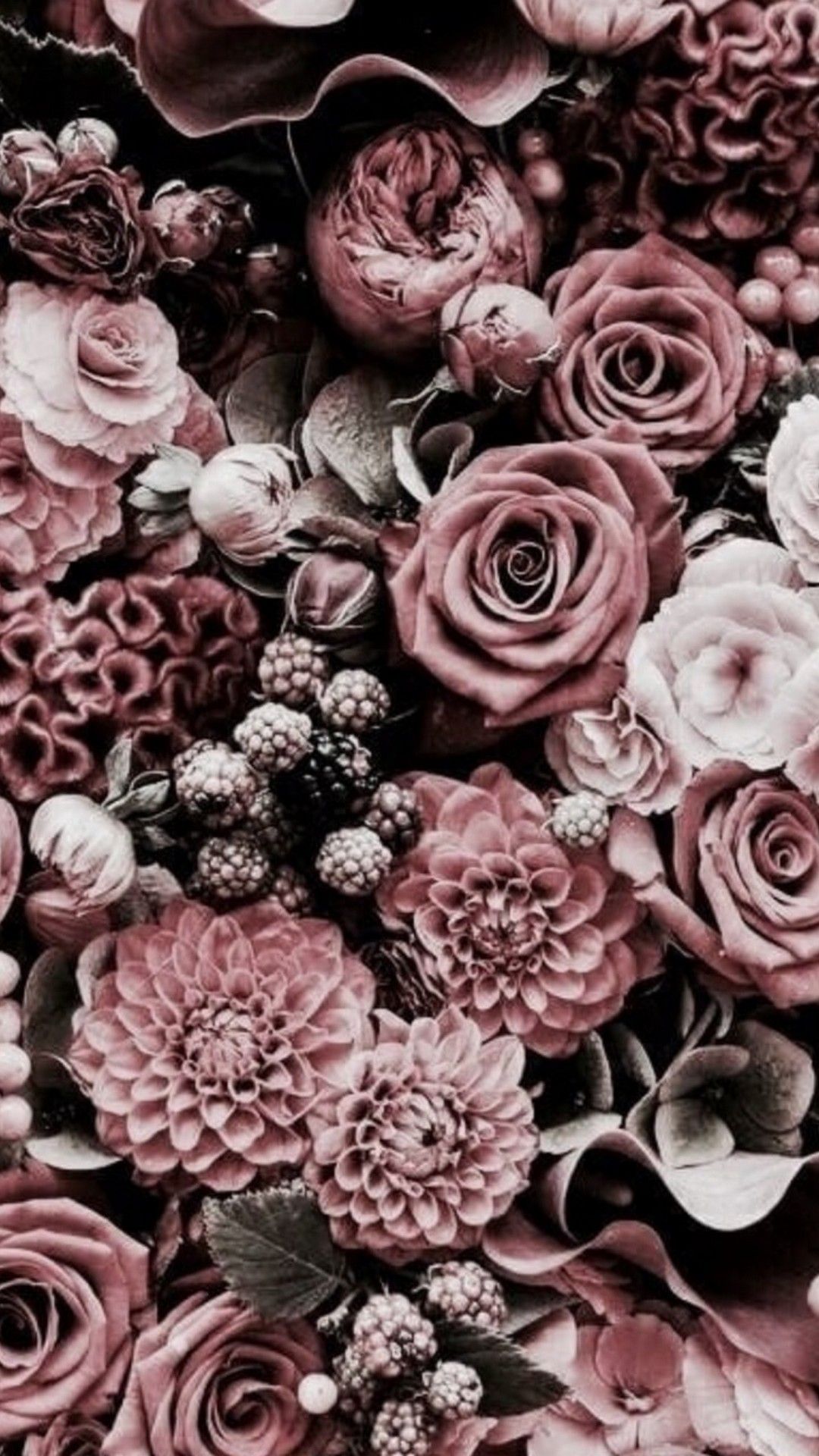 Rosen, Dahlien, Blumenmeer, Altrosa, Vintage, Full HD, Hintergrundbild fürs Handy