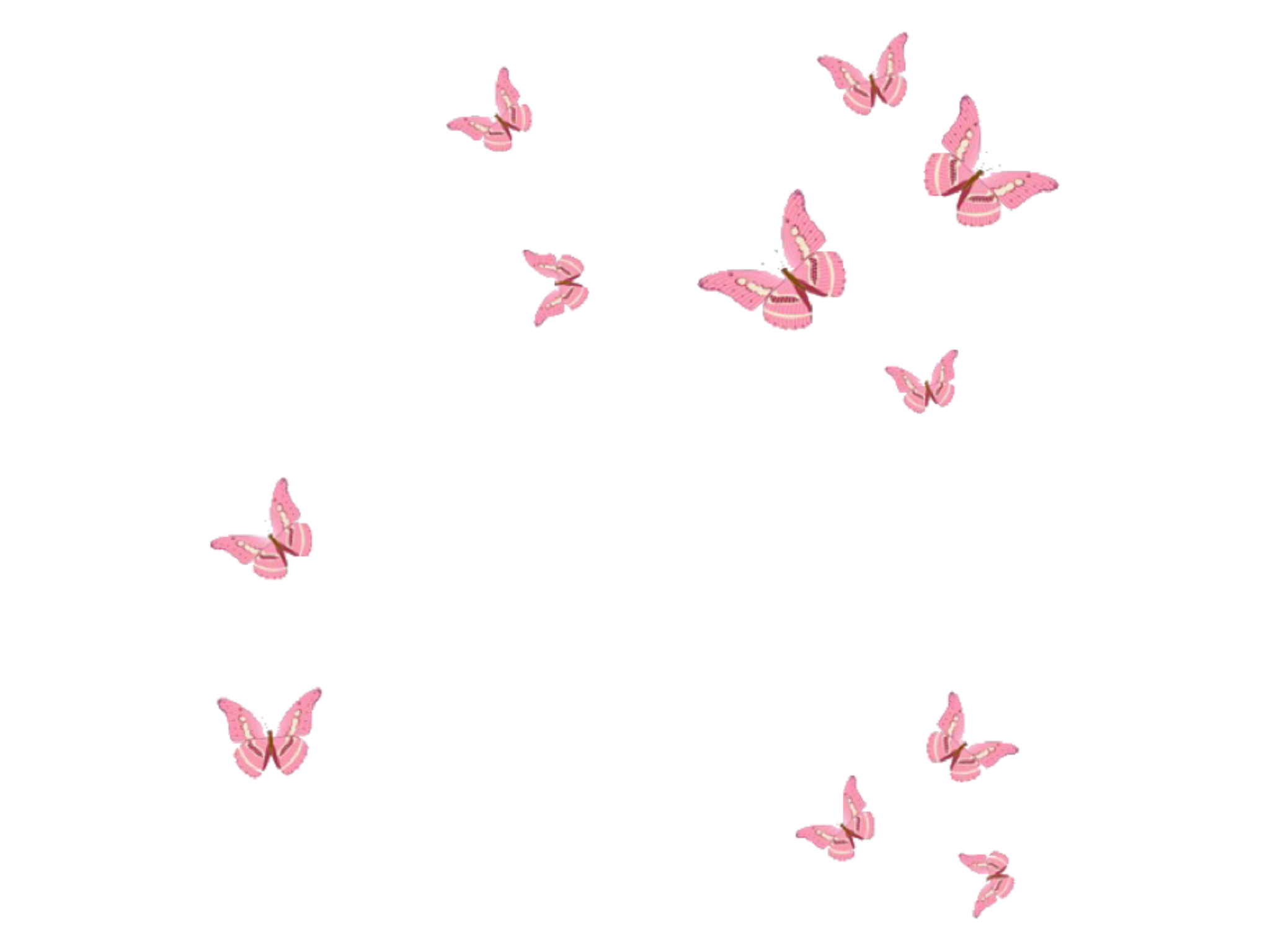 Schmetterlinge, Rosa, Schwarzer Hintergrund, Minimalistisch, Full HD Wallpaper