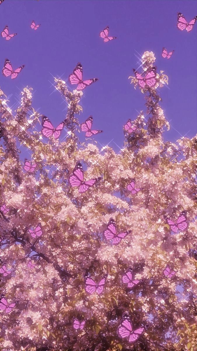 Schmetterlinge, Blühender Baum, Kirschblüten, Lila Himmel, Rosa, Hintergrundbild fürs Handy