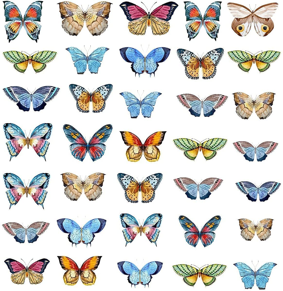 Schmetterlinge, Muster, Bunt, Weißer Hintergrund, Insekten, Wallpaper