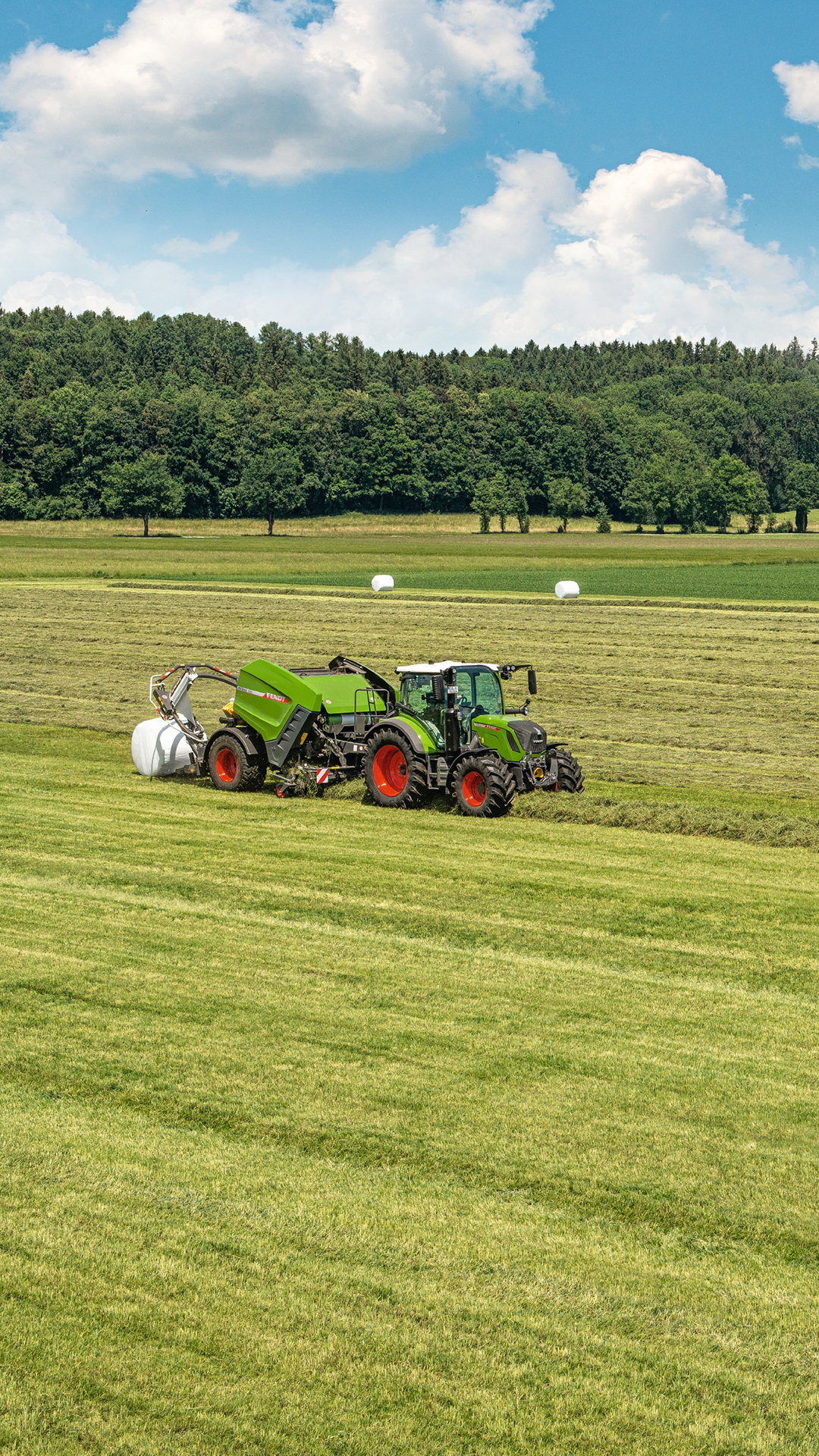 Fendt, Traktor, Wiese, Heuernte, Wald, Full HD, Handy-Hintergrund im Hochformat