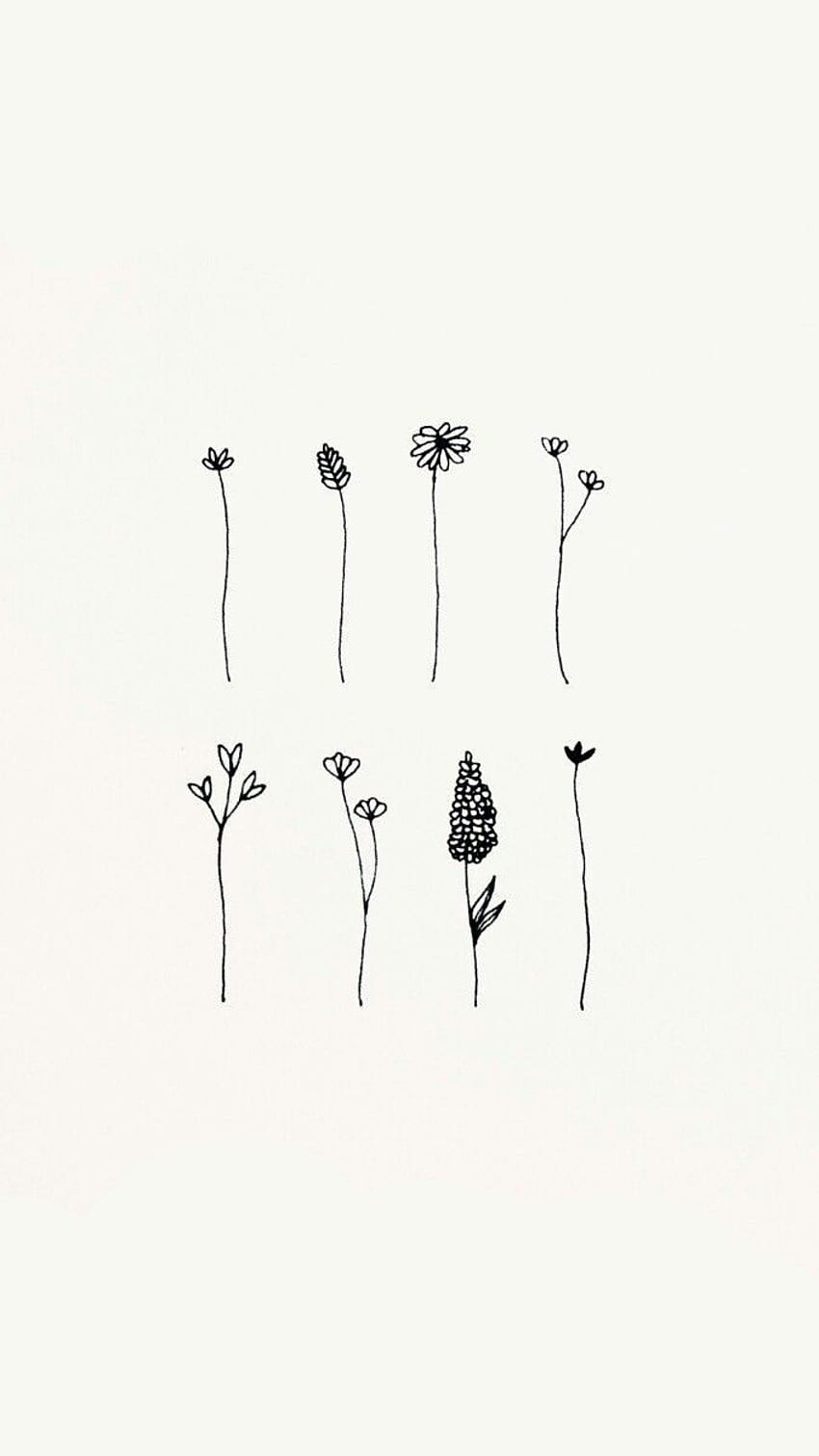 Wildblumen, Strichzeichnung, Minimalistisch, Cremeweiß, HD, Hintergrundbild fürs Handy