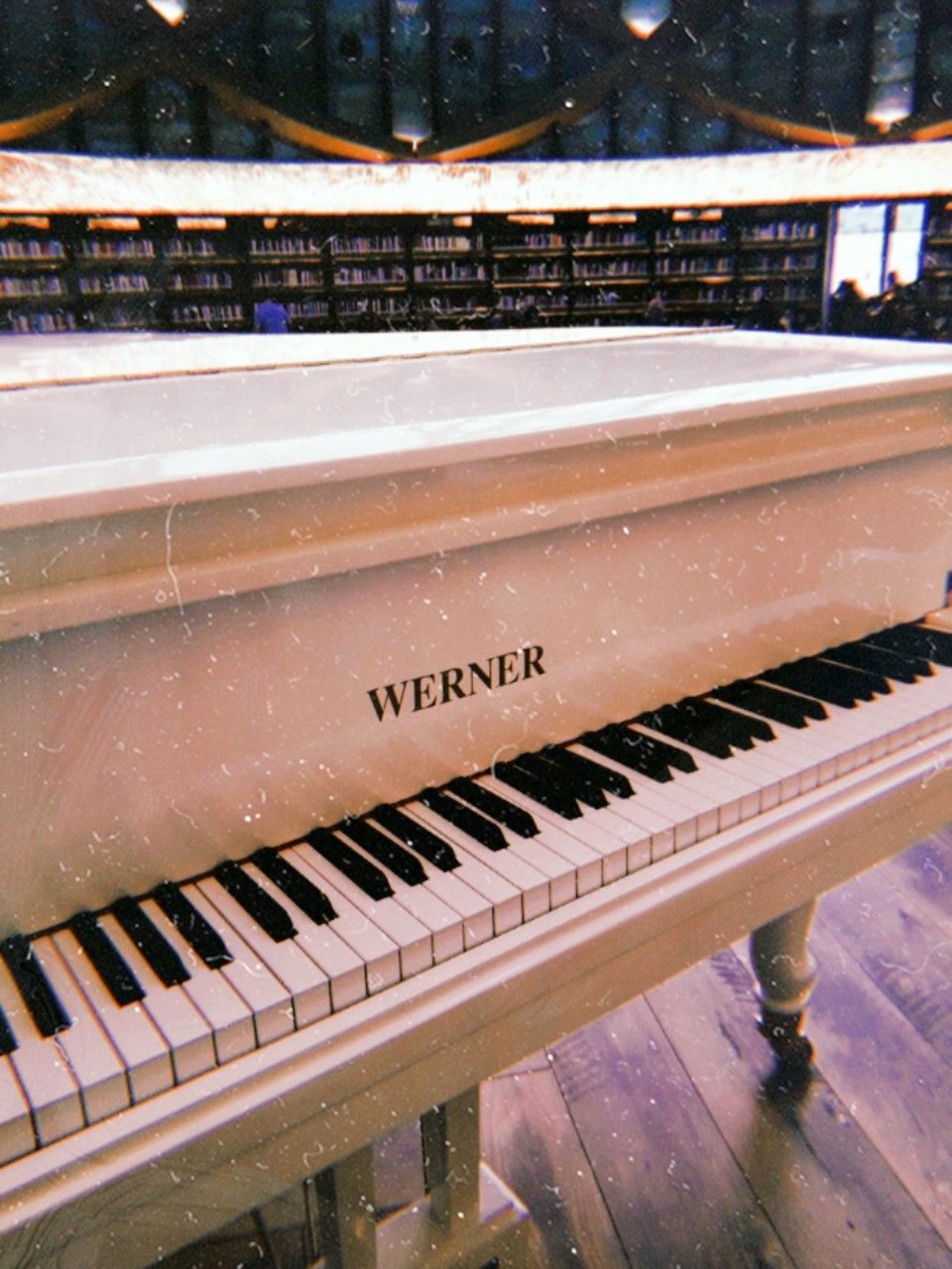 Werner, Weißer Flügel, Bibliothek, Holzboden, Elegant, HD, Hintergrundbild fürs Tablet
