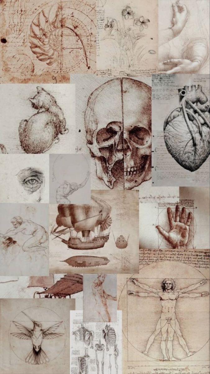 Anatomie, Vitruvianischer Mensch, Leonardo da Vinci, Schädel, Collage, Vintage, Handy-Hintergrundbild
