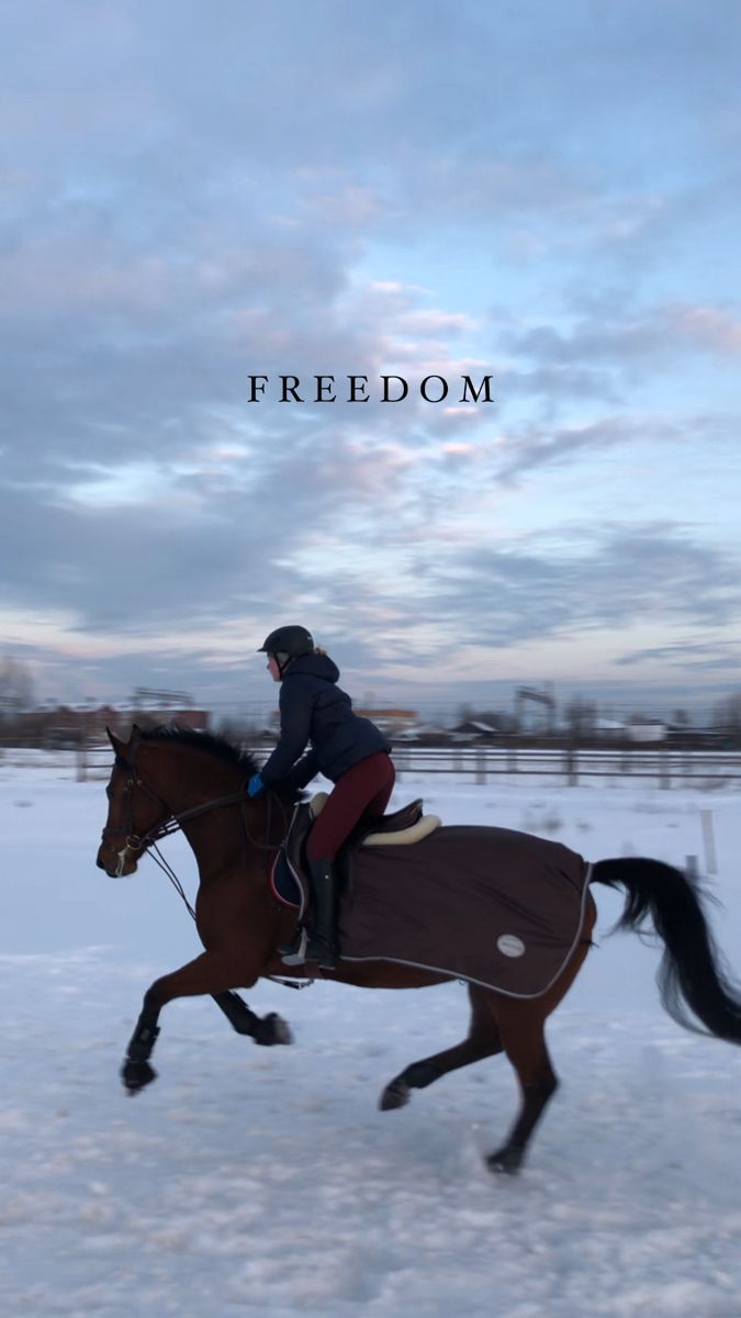 Reiter, Brauner, Freedom, Galopp, Abendhimmel, Hochformat, Hintergrundbild fürs Smartphone